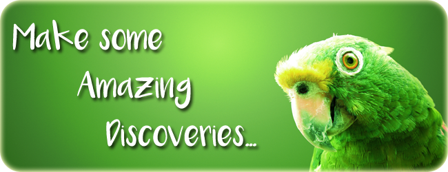 Research banner