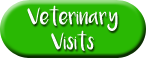 Vet visits button