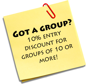 Groups