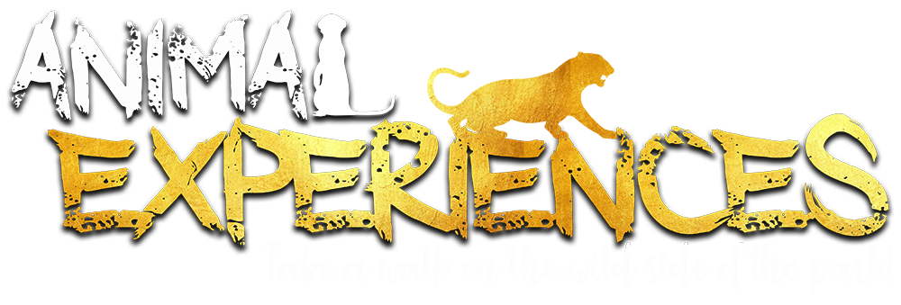 animal-experiences-web