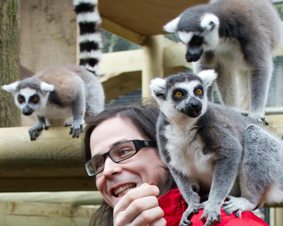 man feeding lemurs