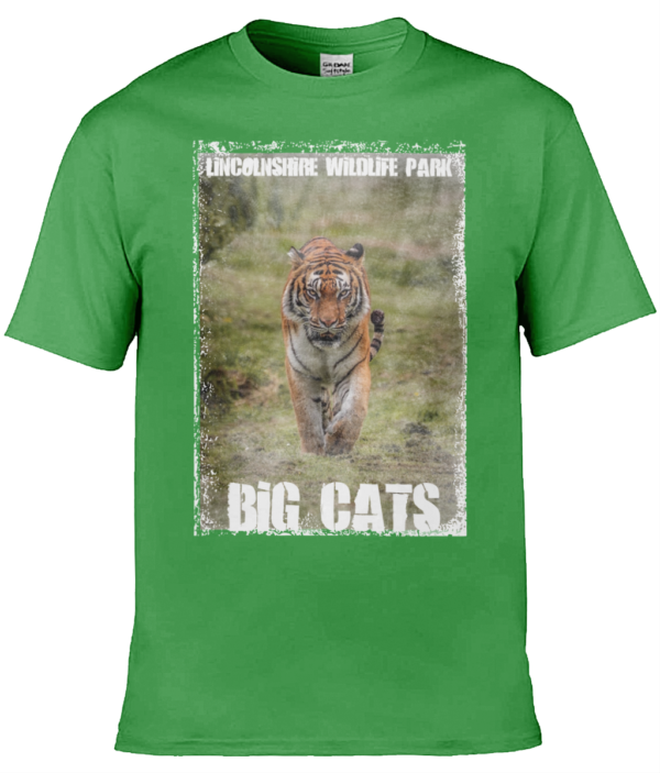 LWP T-Shirts - Image 14