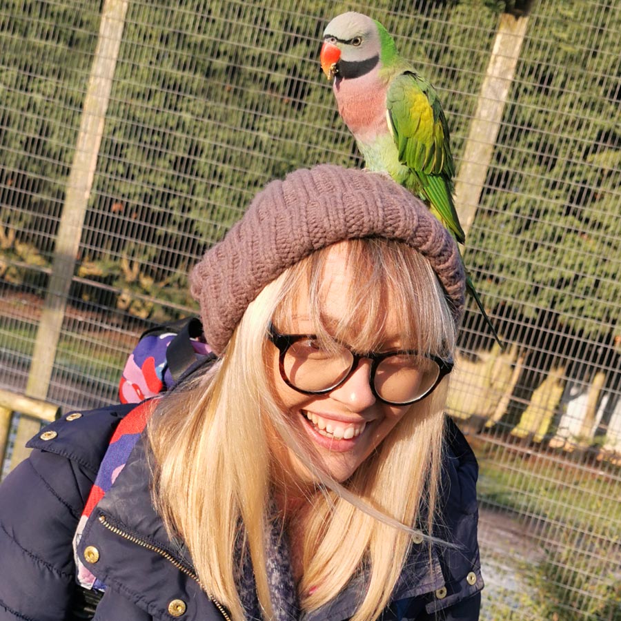 not-to-be-missed Wildlife Park Lincolnshire UK Zoo Lincolnshire UK Days Out With The Kids UK Cheap Days Out Lincolnshire UK Family Days Out Snake Experience Girl Holding Snake Snake Handler Wild Animal Experience Zoo Keeper School Visits Educational Visits Wild 4 Learning School Trip