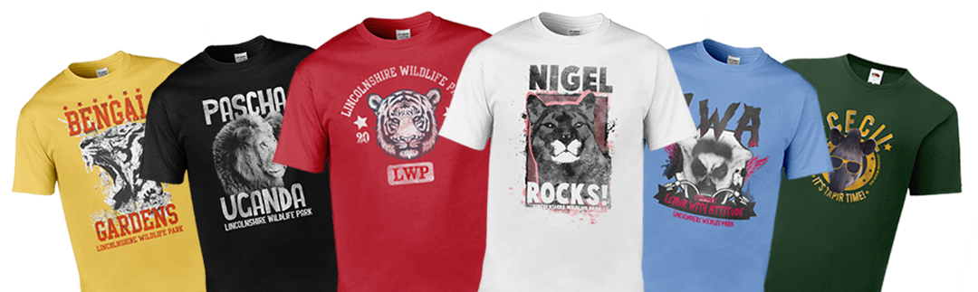 shop-promo-panel-merchandise