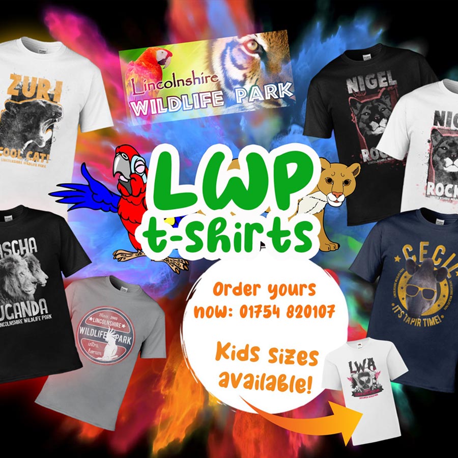 shop Wildlife Park Lincolnshire UK Zoo Lincolnshire UK Days Out With The Kids UK Cheap Days Out Lincolnshire UK Family Days Out Snake Experience Girl Holding Snake Snake Handler Wild Animal Experience Zoo Keeper School Visits Educational Visits Wild 4 Learning School Trip