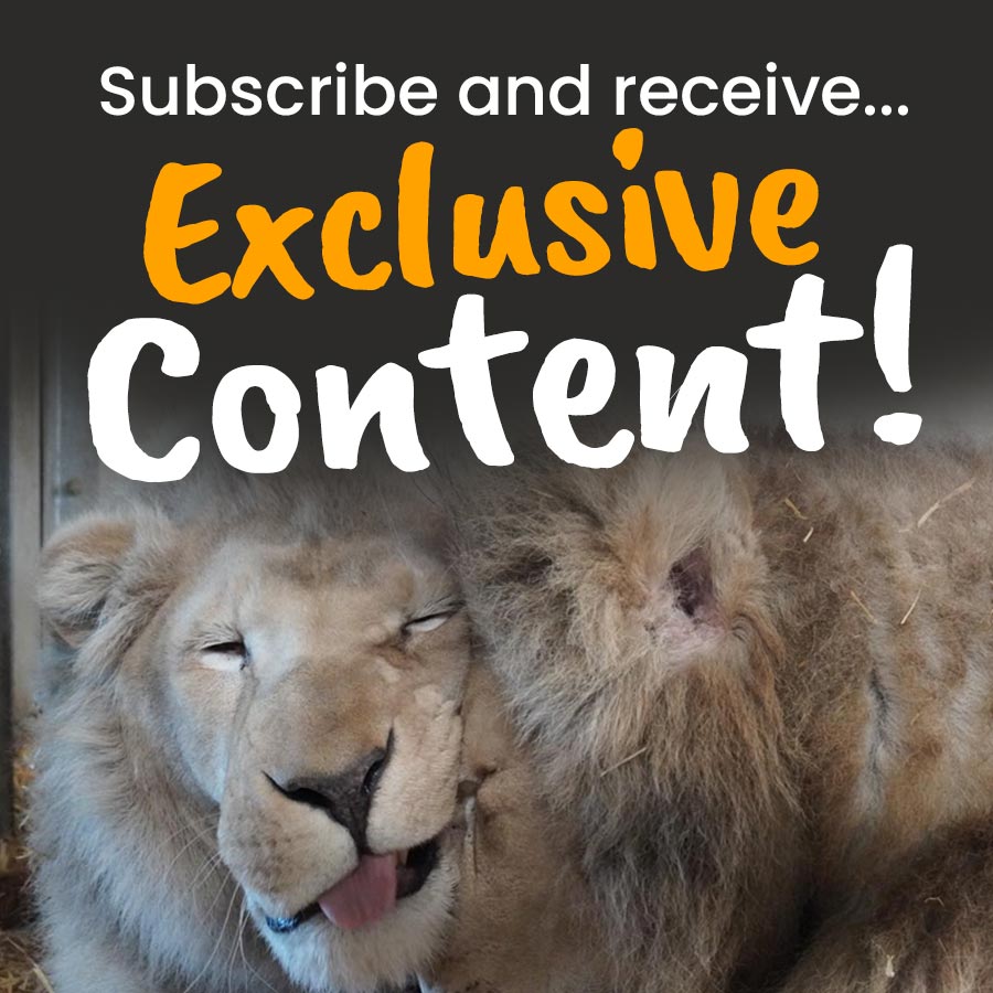 subscribe2