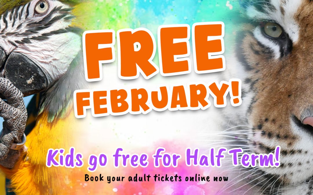 Free February