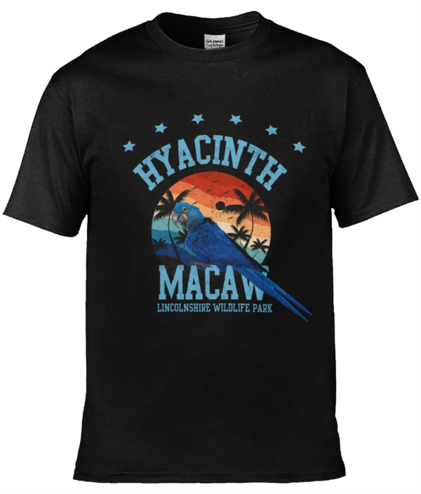LWP T-Shirts - Image 7