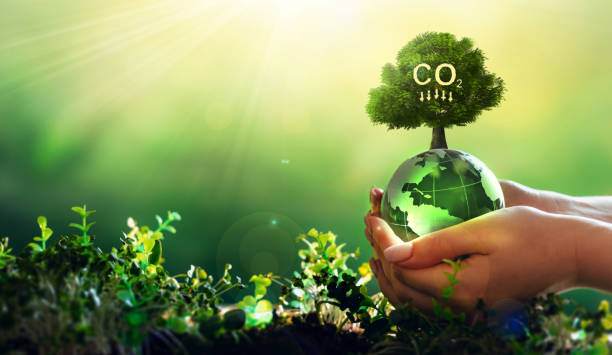 Reduced-Carbon-Emissions conservation, research Renewable energy, sustainable zoo, charity zoo, animal charity, Lincolnshire zoo, days out, going green zoo