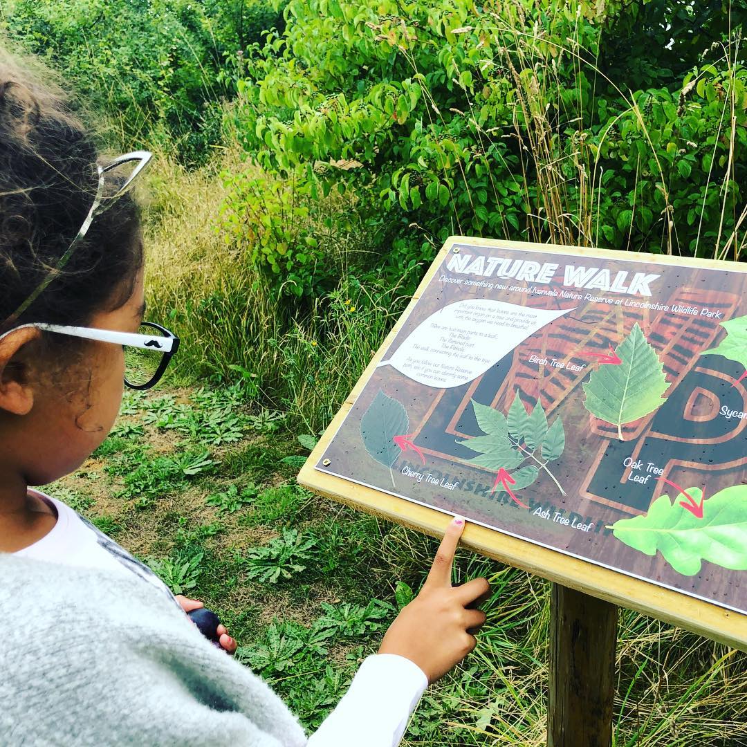 days out with kids, visit Skegness, butterflies, butterfly, bugs, nature walks, animals, sanctuary, animal sanctuary