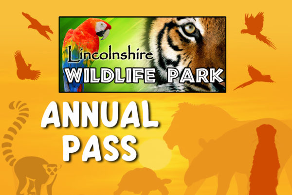 unlimited access, animal encounters, annual pass, zoo pass, annual day pass, event pass, days out, cheaper entry, gift ideas, Lincolnshire zoo, animal sanctuary