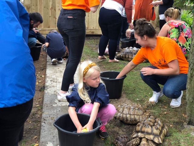 Corporate Partnerships, Sponsor, Volunteer, Business Away Day, 