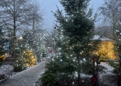 Christmas Days Out, Cheap Days Out December, Lincolnshire, Christmas Activities, Santa's Grotto, Lincoln Santa, Lincolnshire, Best Santa's Grottos UK, Winter Wonderland, Christmas on a Budget.