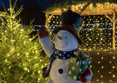 Christmas Days Out, Cheap Days Out December, Lincolnshire, Christmas Activities, Santa's Grotto, Lincoln Santa, Lincolnshire, Best Santa's Grottos UK, Winter Wonderland, Christmas on a Budget. Reindeer, Light Switch on