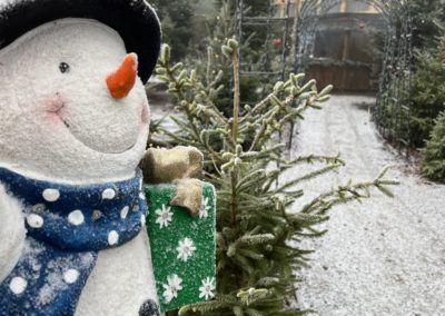 Christmas Days Out, Cheap Days Out December, Lincolnshire, Christmas Activities, Santa's Grotto, Lincoln Santa, Lincolnshire, Best Santa's Grottos UK, Winter Wonderland, Christmas on a Budget. Animals, Reindeer Experience