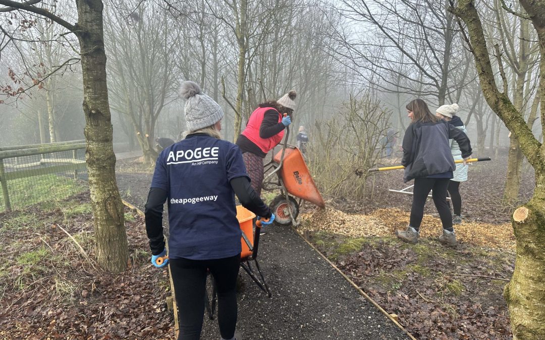 Apogee Volunteers