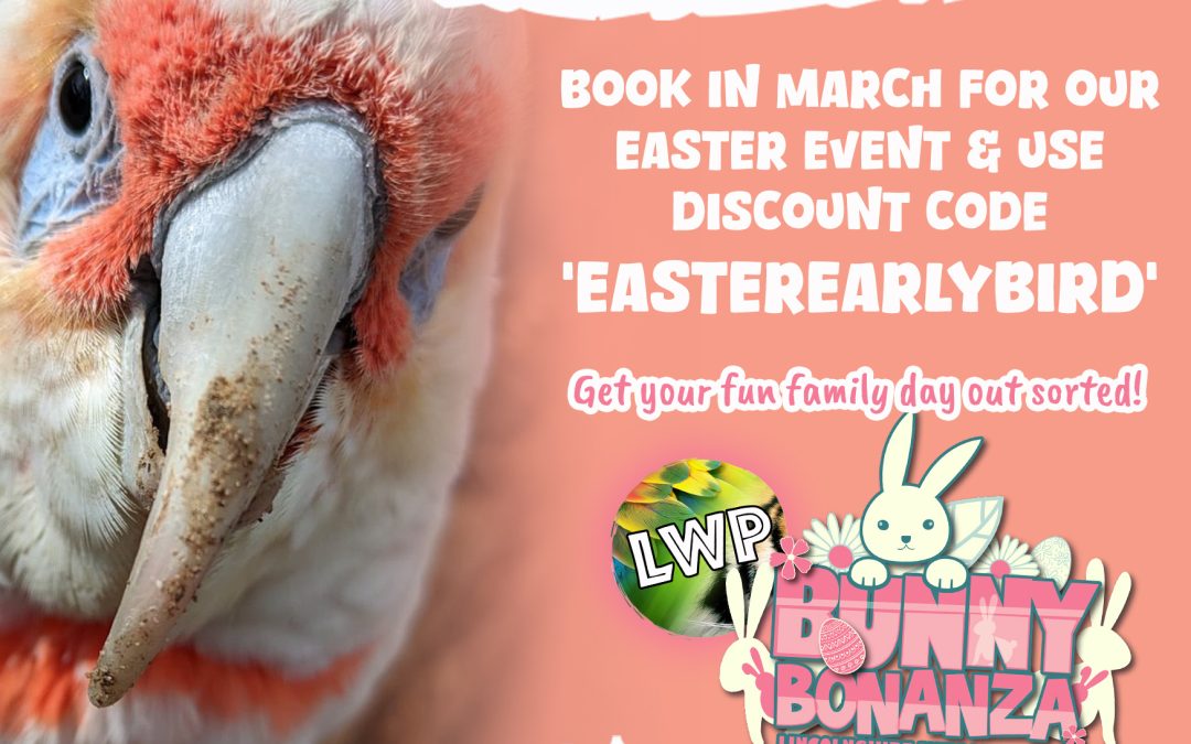 Easter Early Bird Discount