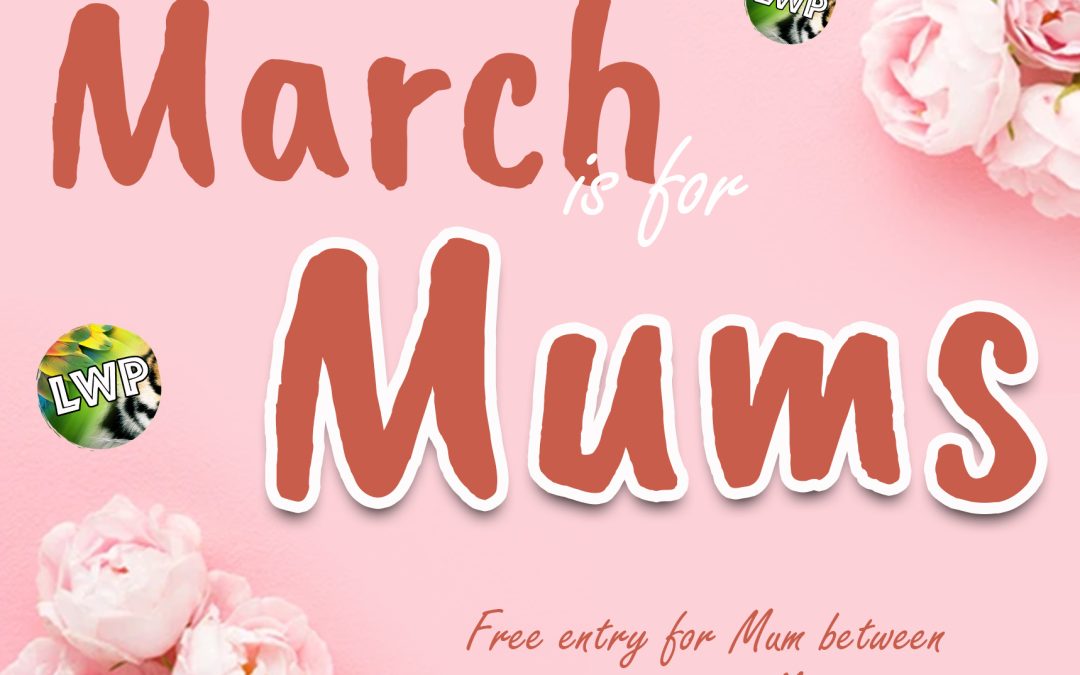 Free Entry for Mum’s