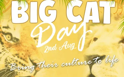 Big Cat Day at the Park