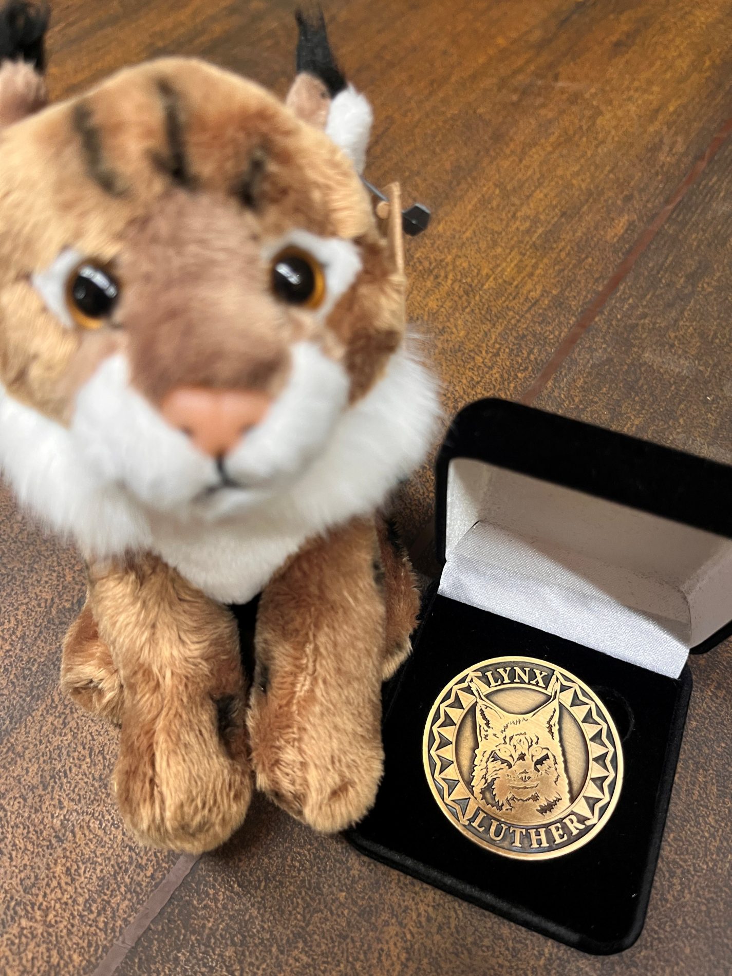 Souvenir Coins - Image 3